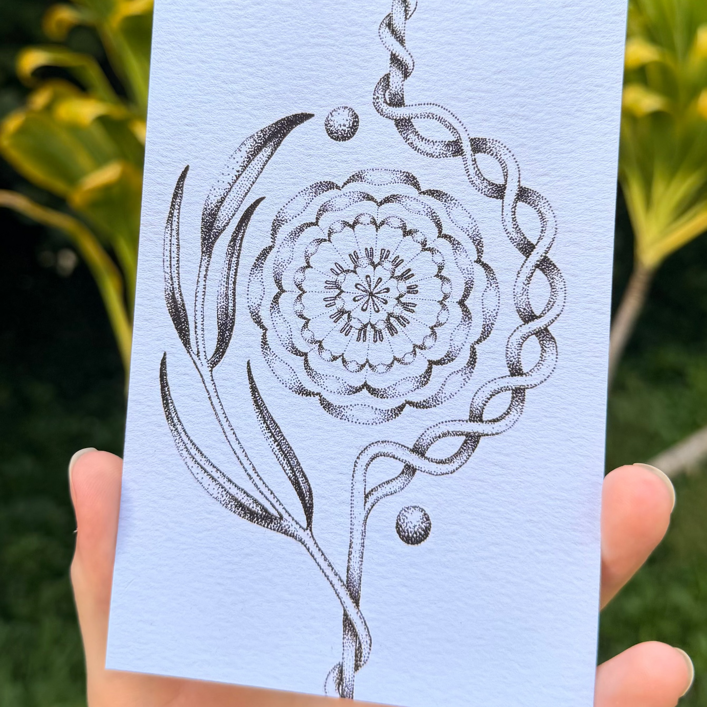 Marigold (Cempasúchil) Stippled B&W Print