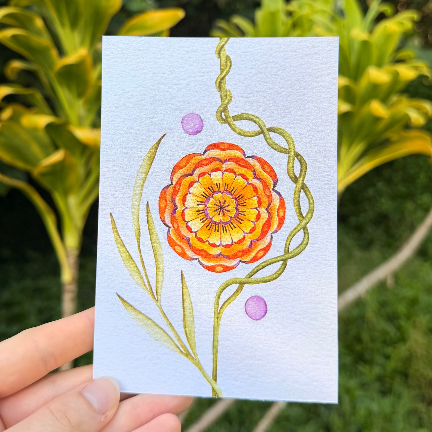 Marigold (Cempasúchil) Watercolor Print