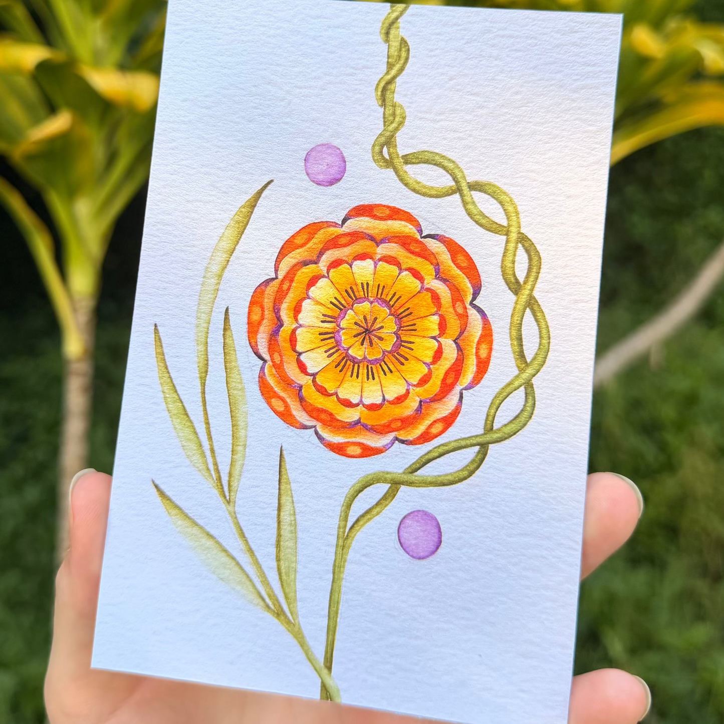 Marigold (Cempasúchil) Watercolor Print