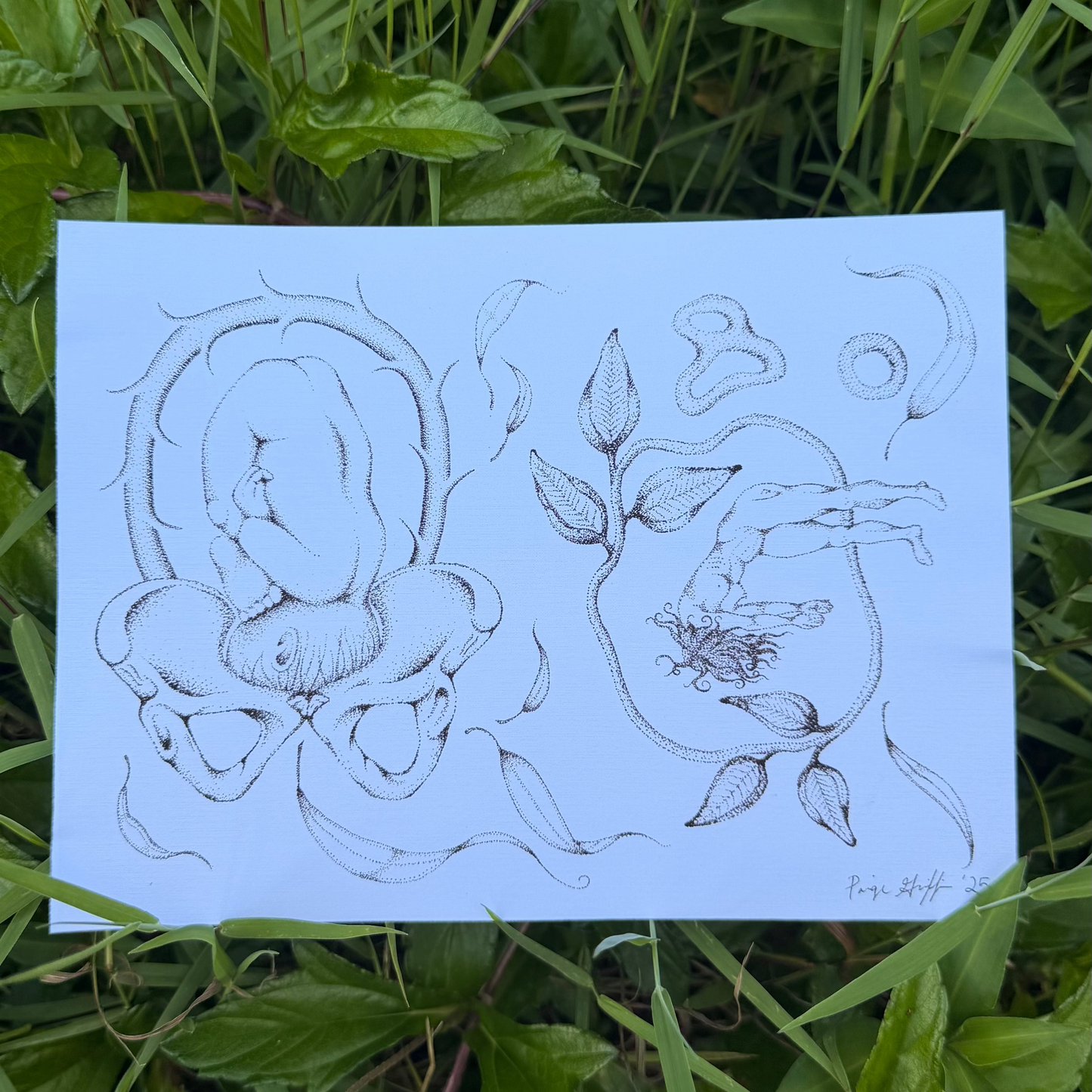 "Rebirth" Print