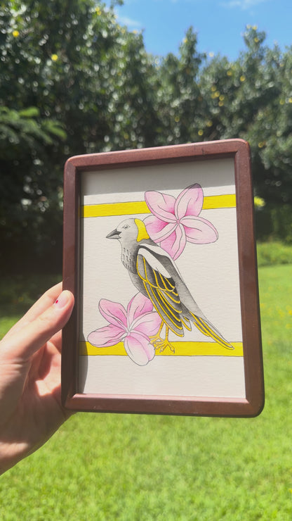 "Bobolink" Original Gouache Painting (Framed)