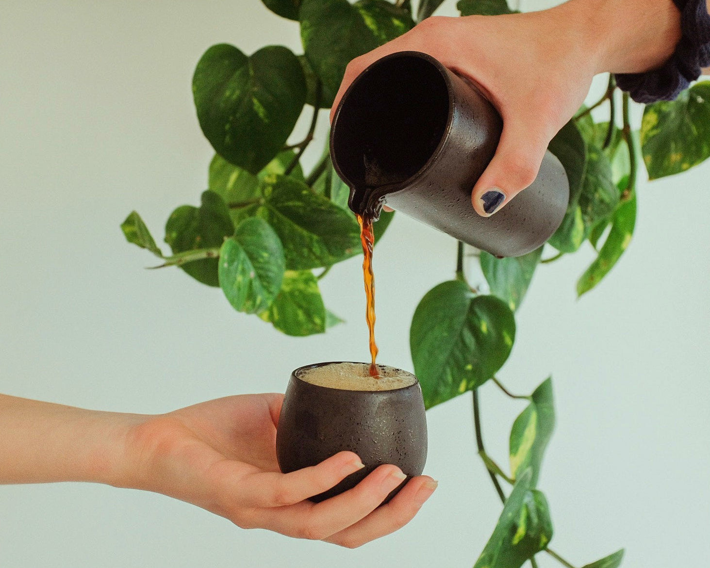 Person pouring coffee from a small pot into another pot held by a hand with a green leafy plant in the background.
